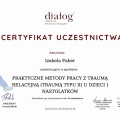 Powiększ obraz: certificate 18