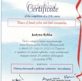 Powiększ obraz: certificate 2
