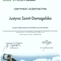 Powiększ obraz: certificate 22