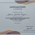 Powiększ obraz: certificate 2