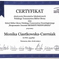 Powiększ obraz: certificate 1