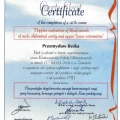 Powiększ obraz: certificate 2