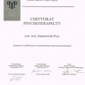 Powiększ obraz: certificate 1