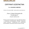 Powiększ obraz: certificate 1