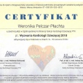 Powiększ obraz: certificate 9