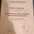 Powiększ obraz: certificate 31