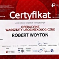 Powiększ obraz: certificate 4
