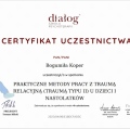 Powiększ obraz: certificate 1