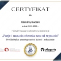 Powiększ obraz: certificate 7