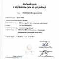 Powiększ obraz: certificate 6