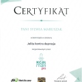 Powiększ obraz: certificate 8