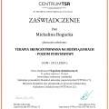 Powiększ obraz: certificate 2