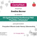 Powiększ obraz: certificate 1