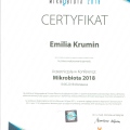 Powiększ obraz: certificate 18