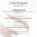 Powiększ obraz: certificate 7