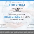 Powiększ obraz: certificate 234