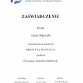 Powiększ obraz: certificate 9