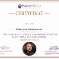 Powiększ obraz: certificate 13