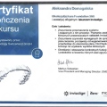 Powiększ obraz: certificate 2