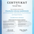 Powiększ obraz: certificate 2