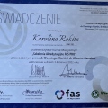 Powiększ obraz: certificate 22