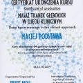 Powiększ obraz: certificate 4