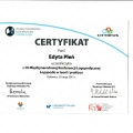 Powiększ obraz: certificate 13