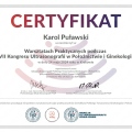 Powiększ obraz: certificate 8
