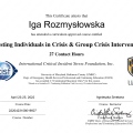 Powiększ obraz: certificate 5