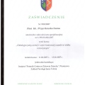Powiększ obraz: certificate 24