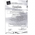 Powiększ obraz: certificate 8