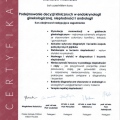 Powiększ obraz: certificate 2