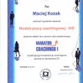 Powiększ obraz: certificate 4