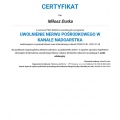 Powiększ obraz: certificate 33