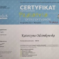 Powiększ obraz: certificate 22
