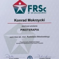 Powiększ obraz: certificate 13