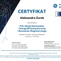Powiększ obraz: certificate 2