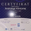 Powiększ obraz: certificate 13