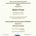 Powiększ obraz: certificate 5