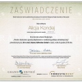 Powiększ obraz: certificate 27