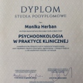 Powiększ obraz: certificate 4