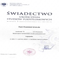 Powiększ obraz: certificate 8