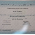 Powiększ obraz: certificate 10