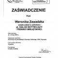 Powiększ obraz: certificate 3
