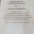 Powiększ obraz: certificate 1
