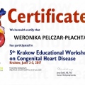 Powiększ obraz: certificate 8