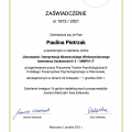 Powiększ obraz: certificate 8