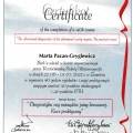 Powiększ obraz: certificate 1