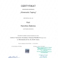 Powiększ obraz: certificate 3