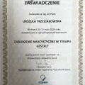 Powiększ obraz: certificate 8